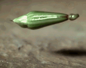 3.gif