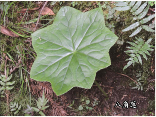 QQ截图20190605145445.png