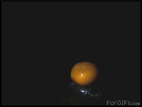 4.gif