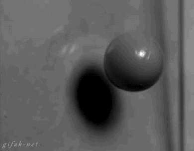 5.gif