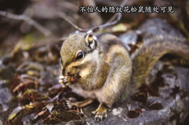 QQ截图20190605145452.png