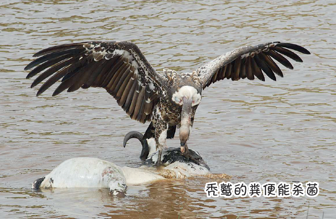 QQ截图20190809110236.png