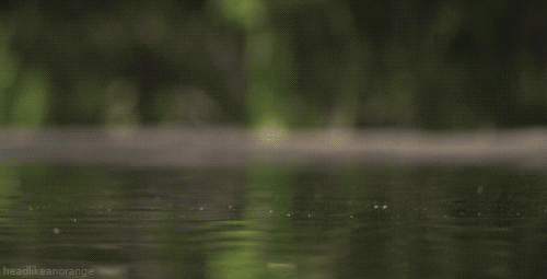 9.gif